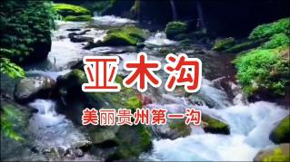 下雪、冻雨、结冰……寒潮安全出行，这张长图必看！