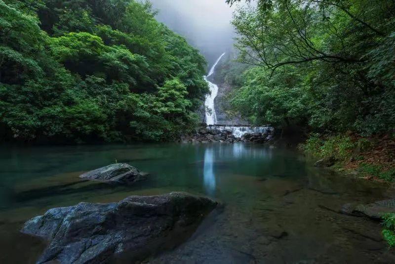 1月30日战报|星耀五洲杯国际青少年足球文化节第30站·武汉